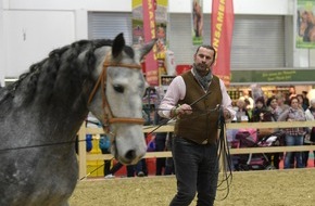 Messe Berlin GmbH: Hipp Hipp HIPPOLOGICA!: Pferdesportmesse feiert 25. Geburtstag - Freier Eintritt für alle im Dezember 1991 Geborenen