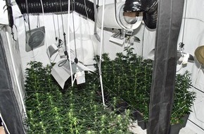 Polizei Mettmann: POL-ME: Nach Brandmeldung Cannabisplantage in Wohnung entdeckt - Mettmann - 2101083