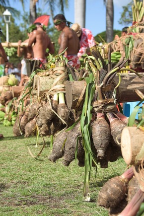 Superfoods von den Inseln von Tahiti: Brotfrucht, Taro und Vanille – kulinarische Schätze aus dem Südpazifik