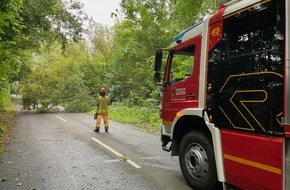 Freiwillige Feuerwehr Alpen: FW Alpen: Sturmschaden