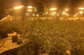 Polizeipräsidium Südosthessen: POL-OF: Telefonbetrüger trieben ihr Unwesen; Verkehrskontrollen mit Schwerpunkt "Beleuchtung"; Cannabis-Plantage in Scheune ausgehoben und mehr