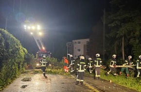 Freiwillige Feuerwehr Aurich: FW-AUR: Diverse B&auml;ume durch Unwetterereignis umgeweht