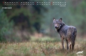 Wildtierschutz Deutschland e.V.: Interne Dokumente Wolf: Wie im Umweltministerium aus einem ungünstigen ein günstiger Erhaltungszustand Wolf gemacht wurde