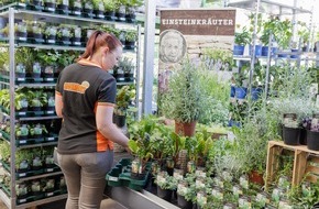 Globus Fachmärkte GmbH & Co. KG: Globus Baumarkt setzt auf Mehrweg-Pflanzentrays für weniger Kunststoffabfall