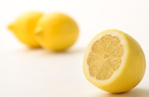 Lemon from Spain: Europäische Zitronen: Qualitätsgarantie eines Weltmarktführers