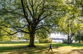 Bund deutscher Baumschulen (BdB) e.V.: Es ist nicht 5 vor 12, sondern 5 nach 12: Mit Stadtgrün gegen den Klimawandel