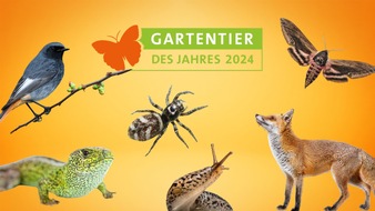 Heinz Sielmann Stiftung: Gartentier des Jahres 2024: Nur noch wenige Tage, um abzustimmen!