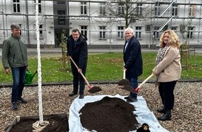 Universität Koblenz: Elsbeere zu Ehren von Dr. Jane Goodall an der Universität Koblenz gepflanzt