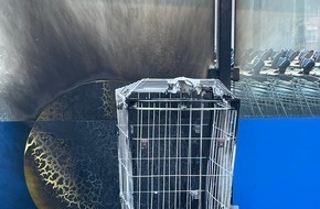 Polizeidirektion Wittlich: POL-PDWIL: Brandstiftung M&uuml;lleimer in Bernkastel-Kues