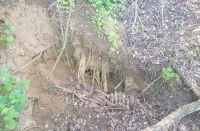 Polizeiinspektion Anklam: POL-ANK: Munitionsfund im Waldstück bei Grambow