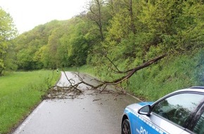Polizeidirektion Kaiserslautern: POL-PDKL: Baum stürzt auf Fahrbahn