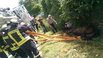 Feuerwehr Lennestadt: FW-OE: Pferdekutsche verunglückt - erfolgreiche Rettung eines Pferdes in Elspe