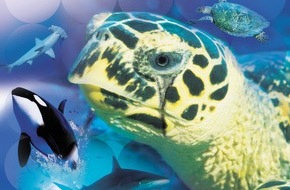 Manta Reisen: Manta Reisen unterstützt Project A.W.A.R.E. von PADI Europe