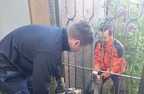 Feuerwehr Essen: FW-E: Rehbock hängt im Gartenzaun fest, mit hydraulischem Spreizer befreit