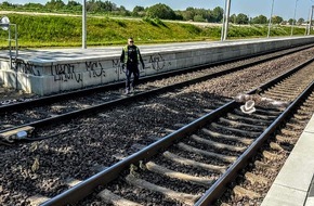 Bundespolizeiinspektion Kiel: BPOL-KI: Gänsemarsch legt am 1. Mai Bahnverkehr lahm