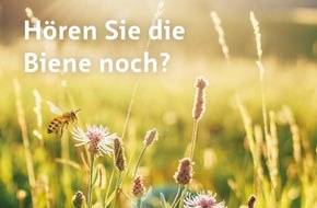 Pro Senectute: Hörprobleme sofort angehen