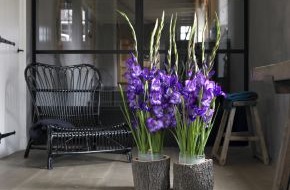 Blumenbüro: Exotisch und Extravagant: Das stilvolle Blütenwunder Gladiole (BILD)