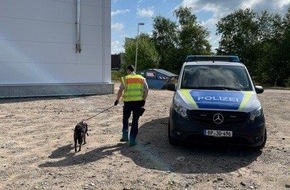 Bundespolizeiinspektion Kiel: BPOL-KI: Hund ausgebüxt, Bundespolizei Kiel konnte ihn der Besitzerin zurückgeben