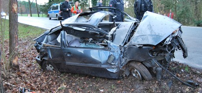 Polizeiinspektion Nienburg / Schaumburg: POL-NI: Von Straße abgekommen und gegen Baum geprallt -Bild im Download-