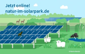 Kompetenzzentrum Naturschutz und Energiewende (KNE) gGmbH: PM: Mehr Natur im Solarpark – neue Wissensplattform unterstützt kommunales Handeln