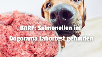 Dogorama GmbH: Salmonellen und E. coli in BARF durch den Dogorama-Produkttest nachgewiesen!