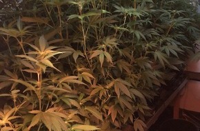 Polizei Hamburg: POL-HH: 180715-3 Sicherstellung einer Cannabisplantage nach Rauchmelderauslösung in Hamburg-Eimsbüttel