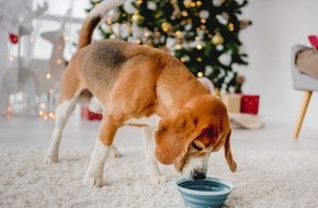 ZZF - Zentralverband der Heimtierbranche e.V.: Süße Gefahr an Weihnachten: Was Heimtiere naschen dürfen und was nicht