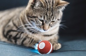 Cheerble: Automatisches Katzenspielzeug zur Selbstbeschäftigung - Version 2.0 des Mini Ball begeistert
