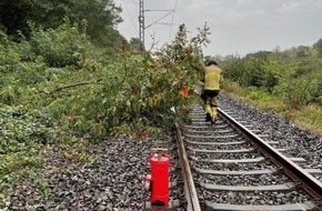 Bundespolizeidirektion Sankt Augustin: BPOL NRW: Baum stürzt in Oberleitung und fängt Feuer - Bundespolizei sperrt Bahnstrecke