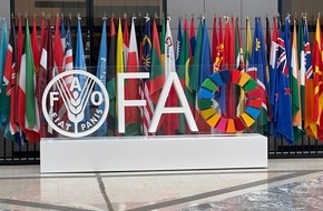 Deutscher Berufs- und Erwerbsimkerbund e.V.: Honigfälschung: Treffen bei UN in Rom für internationales Vorgehen