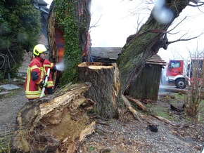 FW Reichenau: Pressemitteilung: Baum am Campingplatz brennt erneut, 02.01.2025, Reichenau-Mittelzell