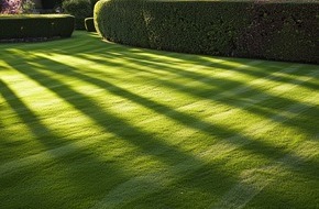 goodRanking Online Marketing Agentur: Mehr Aufwand als gedacht: Der Weg zum neuen Rasen im Garten