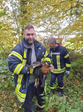 FW-WRN: TH_TÜR und Amtshilfe fürs Ordnungsamt - freigesetzte Hühner einfangen