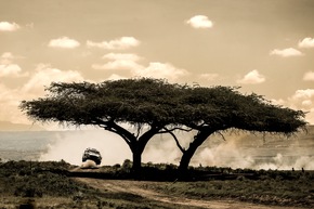 Platz drei auf den harten Pisten Kenias: Adrien Fourmaux / Alex Coria fahren bei der Safari-Rallye erneut aufs Podest