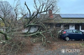 Polizeipräsidium Westpfalz: POL-PPWP: Starkregen und Wind sorgen für Polizeieinsätze