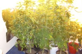 Polizeiinspektion Hameln-Pyrmont/Holzminden: POL-HM: Mann im Verdacht des illegalen Drogenanbaus / Polizei stellt Cannabispflanzen sicher