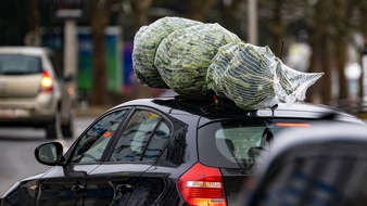 Verti Versicherung AG: Sicher unterwegs: So transportieren Sie Ihren Weihnachtsbaum richtig