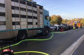 Feuerwehr und Rettungsdienst Bonn: FW-BN: Schwerer Verkehrsunfall mit Beteiligung eines Tiertransporters - sieben Verletzte