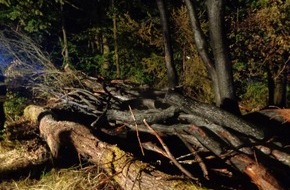 Polizeidirektion Pirmasens: POL-PDPS: Waldbrand konnte rechtzeitig gelöscht werden