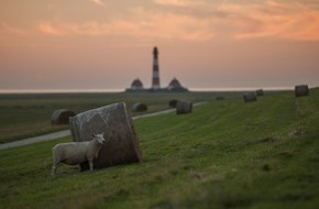 Tourismus-Zentrale St. Peter-Ording: Erzähl mir was! - Auf Eiderstedt 2019