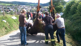 FW-OE: Pferdekutsche verunglückt - erfolgreiche Rettung eines Pferdes in Elspe