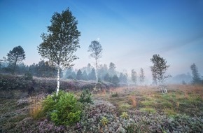 BUND: ++ Trockenheit und Hitzewellen bedrohen Klimaschützer Moore | #Trockenheit ++