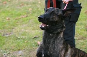 Polizeidirektion Hannover: POL-H: im Nachgang - ein Foto des Polizeihundes "Rommel"!
zur Meldung
Polizeihund stellt Einbrecher in Müllcontainer