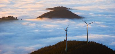 Deutscher Naturschutzring (DNR) e.V.: Windenergieanlagen zukünftig verstärkt auch in Wirtschaftswäldern ermöglichen (mit Bild)