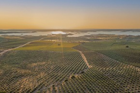 Der Alqueva-See &ndash; Portugals stille Wasserlandschaft im Alentejo