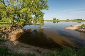 Bund f&uuml;r Umwelt und Naturschutz Deutschland e.V. (BUND): ++ Tag der biologischen Vielfalt: Schatzkammer Auen-Wildnis &ndash; BUND: Artenreiche Lebensr&auml;ume sch&uuml;tzen | BUND-Themenpaket Wildnis &acirc;++