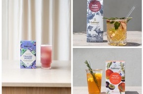Alois Dallmayr Kaffee oHG: Vier frische Eisteerezepte von Dallmayr
