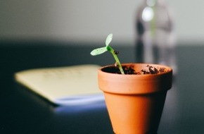 Initiative "Mein Erbe tut Gutes. Das Prinzip Apfelbaum": Tag des Testaments: Mit dem Erbe Gutes tun, aber wie? Umfassenden Beratungsservice bietet die Erbschaftsinitiative