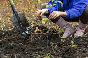 Bund deutscher Baumschulen (BdB) e.V.: Klimawandel zeigt: Der Herbst ist die beste Pflanzzeit