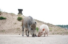 Deutscher Tierschutzbund e.V.: PM - 15 Jahre Tierschutzzentrum Weidefeld